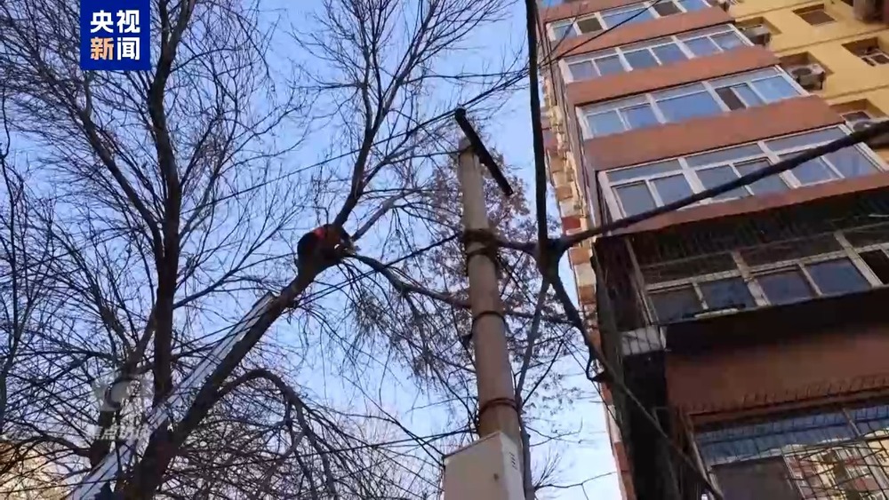 熊猫体育平台焦点访谈丨12345热线何以撬动大城之治？(图5)