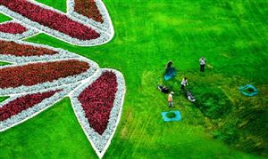 熊猫体育官网新风系统行业市场深度分析2024(图5) 熊猫体育官网新风系统行业市场深度分析2024(图5)