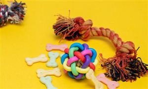 熊猫体育官网新风系统行业市场深度分析2024(图11) 熊猫体育官网新风系统行业市场深度分析2024(图11)