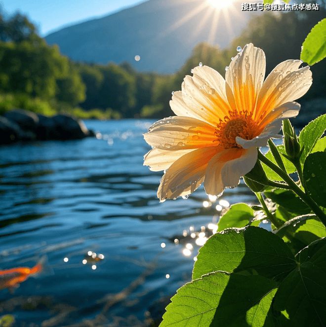 ✖️保利西郊和煦领墅官方发布：西郊挥毫领墅落款共鉴诗意栖居(图24)