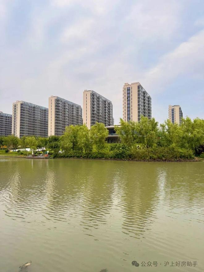 百度热搜@保利光合上城官方售楼处发布：保利光合上城引爆购房热潮(图4)