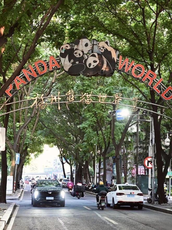 好消息！福州即将迎来5只大熊猫！