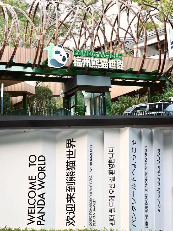 好消息!福州即将迎来5只大熊猫!(图3) 好消息!福州即将迎来5只大熊猫!(图3)